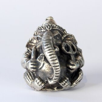 Ganesha rund